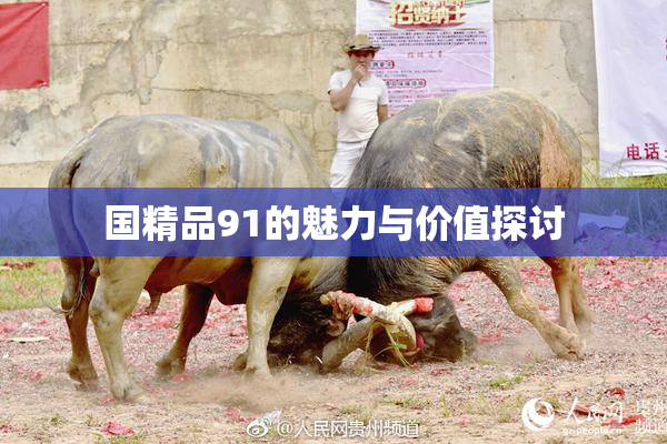 国精品91的魅力与价值探讨
