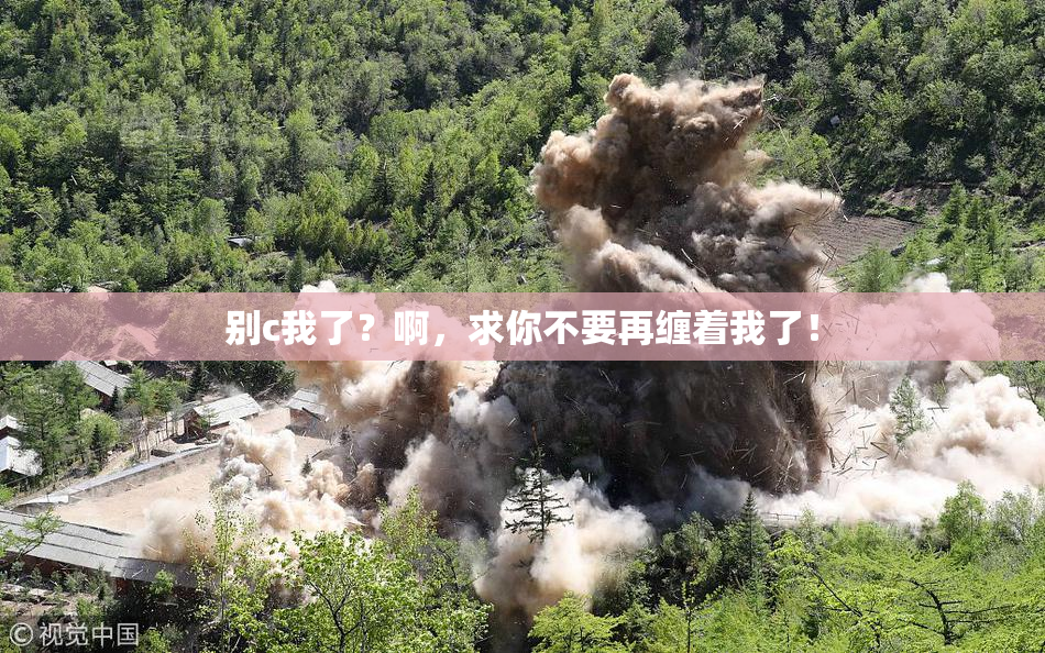 别c我了？啊，求你不要再缠着我了！