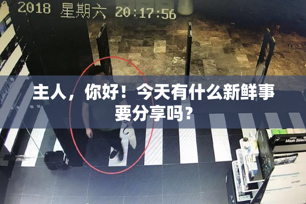 主人，你好！今天有什么新鲜事要分享吗？