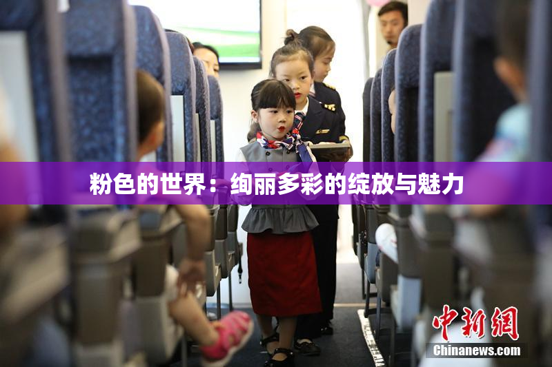 粉色的世界：绚丽多彩的绽放与魅力