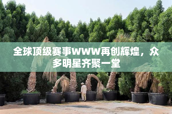 全球顶级赛事WWW再创辉煌，众多明星齐聚一堂