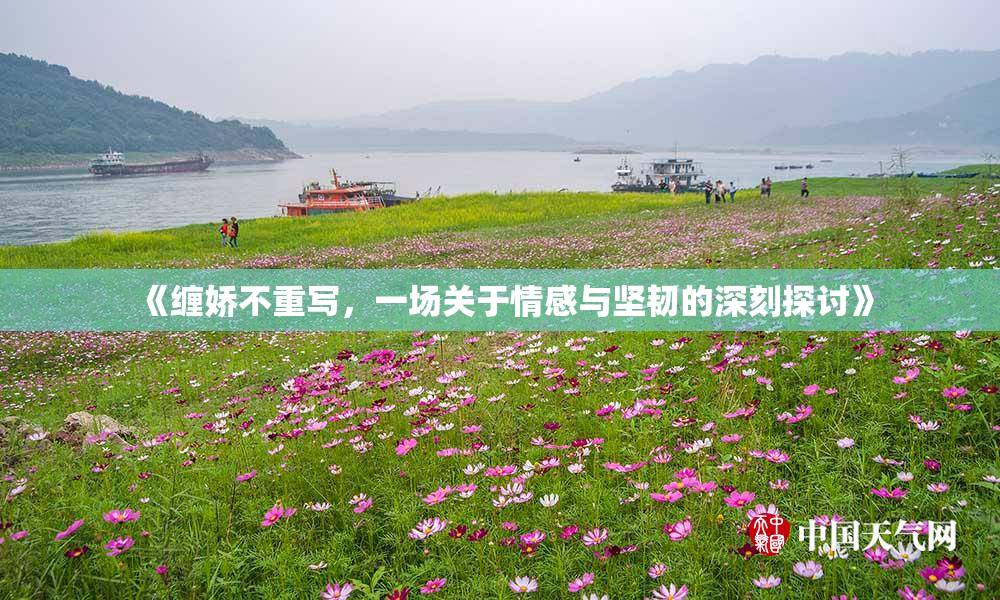 《缠娇不重写，一场关于情感与坚韧的深刻探讨》