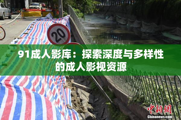 91成人影库：探索深度与多样性的成人影视资源