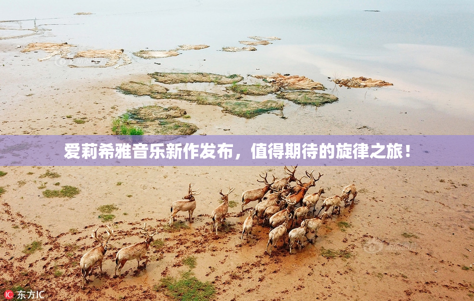 爱莉希雅音乐新作发布，值得期待的旋律之旅！