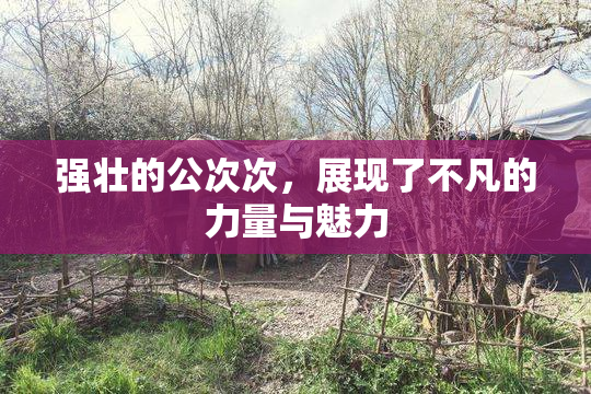强壮的公次次，展现了不凡的力量与魅力