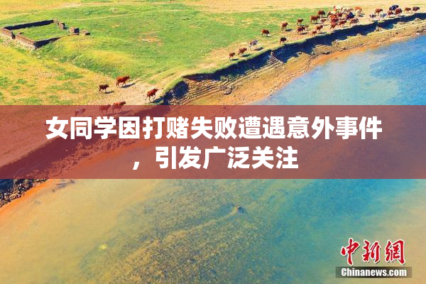 女同学因打赌失败遭遇意外事件，引发广泛关注