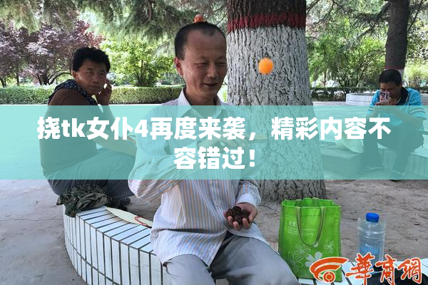 挠tk女仆4再度来袭，精彩内容不容错过！