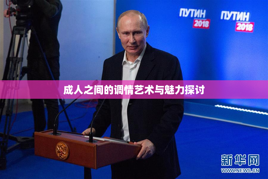 成人之间的调情艺术与魅力探讨