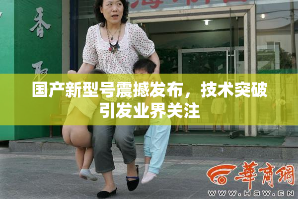 国产新型号震撼发布，技术突破引发业界关注