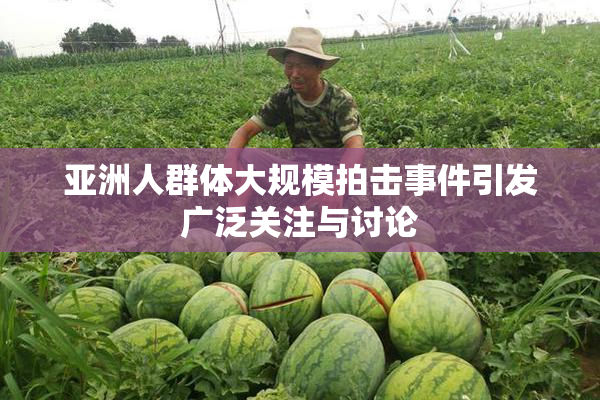亚洲人群体大规模拍击事件引发广泛关注与讨论