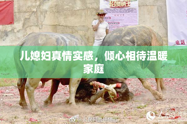 儿媳妇真情实感，倾心相待温暖家庭