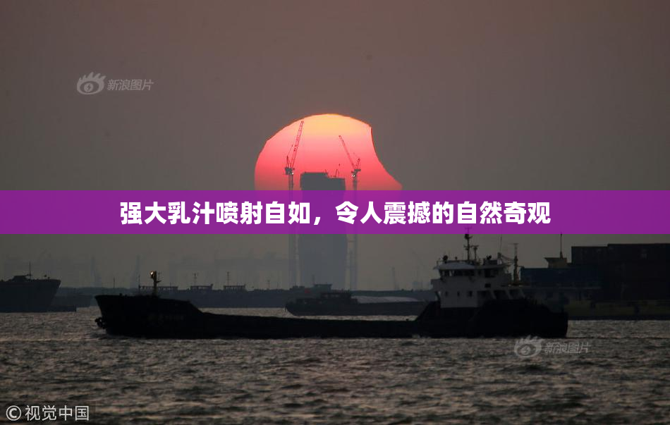 强大乳汁喷射自如，令人震撼的自然奇观
