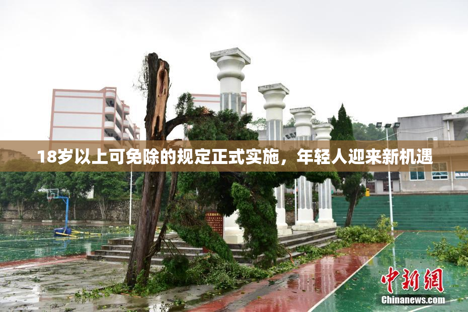 18岁以上可免除的规定正式实施，年轻人迎来新机遇
