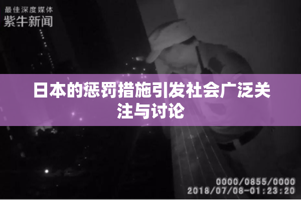 日本的惩罚措施引发社会广泛关注与讨论