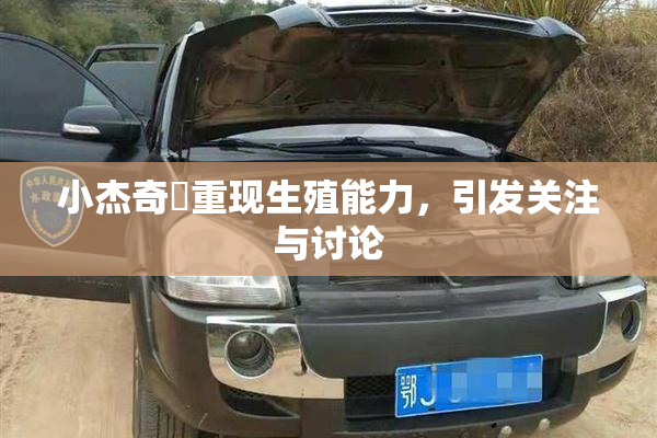 小杰奇犽重现生殖能力，引发关注与讨论