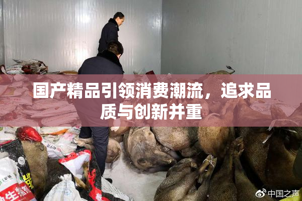 国产精品引领消费潮流，追求品质与创新并重