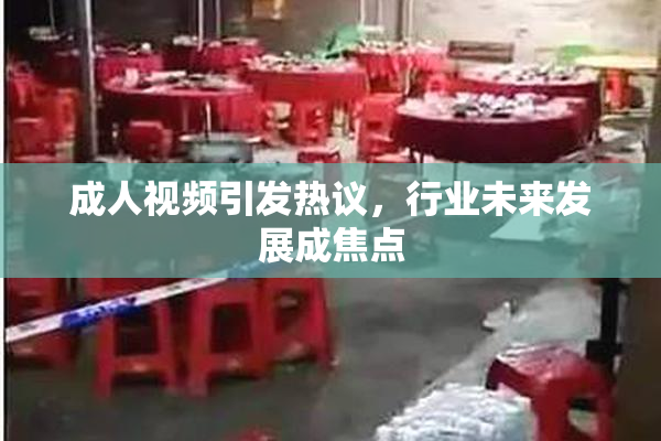 成人视频引发热议，行业未来发展成焦点