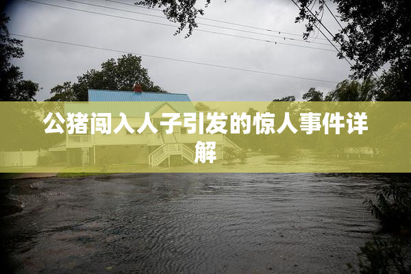 公猪闯入人子引发的惊人事件详解