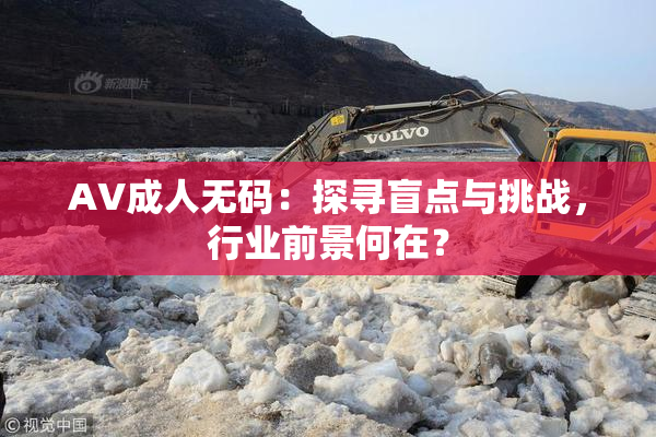AV成人无码：探寻盲点与挑战，行业前景何在？