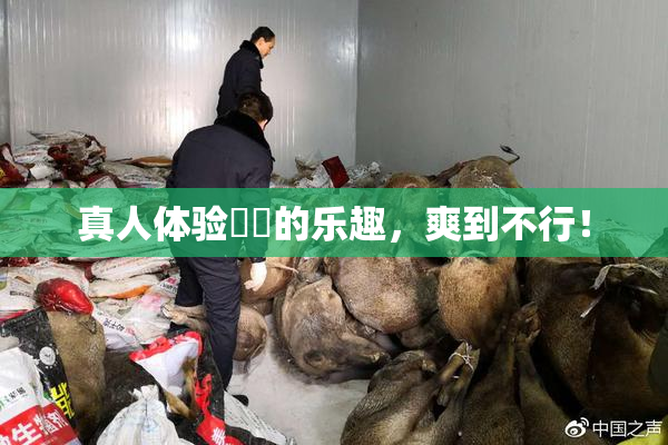 真人体验❌‌的乐趣，爽到不行！