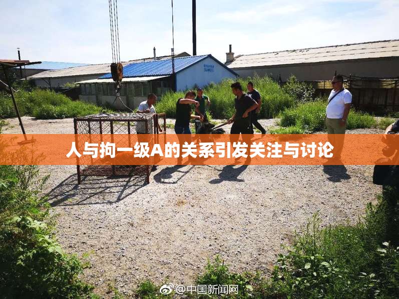 人与拘一级A的关系引发关注与讨论