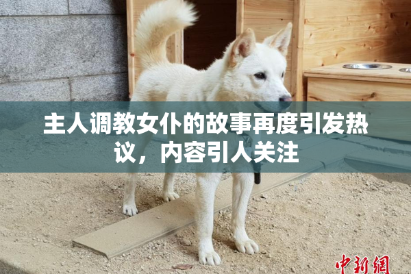 主人调教女仆的故事再度引发热议，内容引人关注