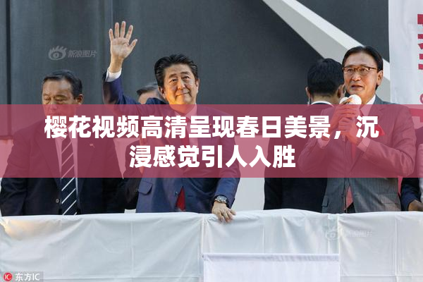 樱花视频高清呈现春日美景，沉浸感觉引人入胜