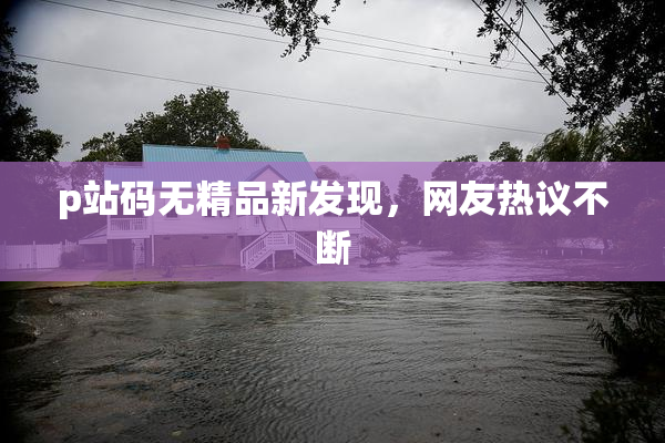p站码无精品新发现，网友热议不断