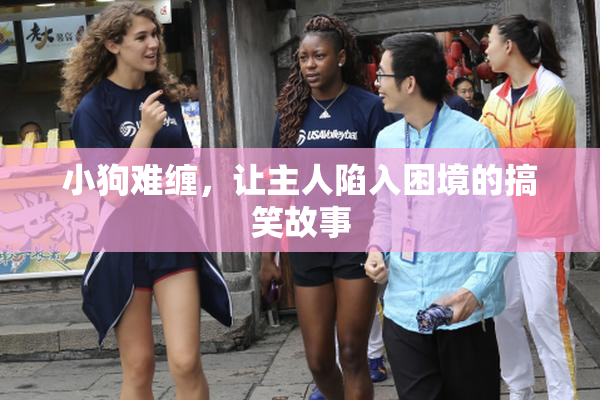 小狗难缠，让主人陷入困境的搞笑故事