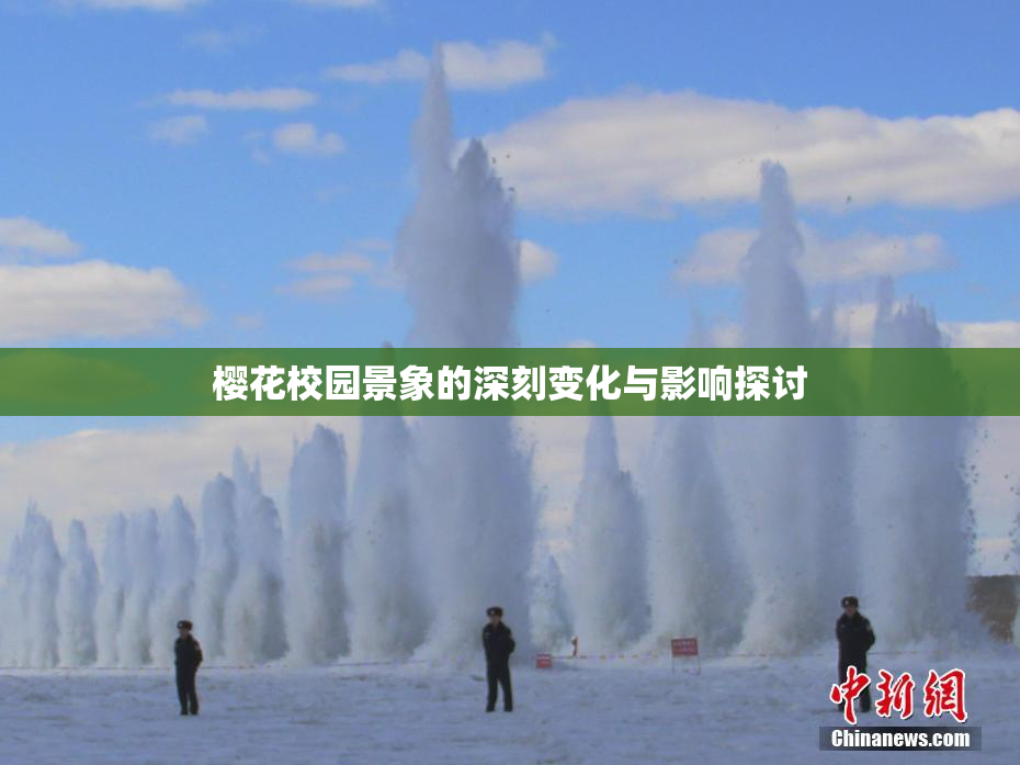 樱花校园景象的深刻变化与影响探讨