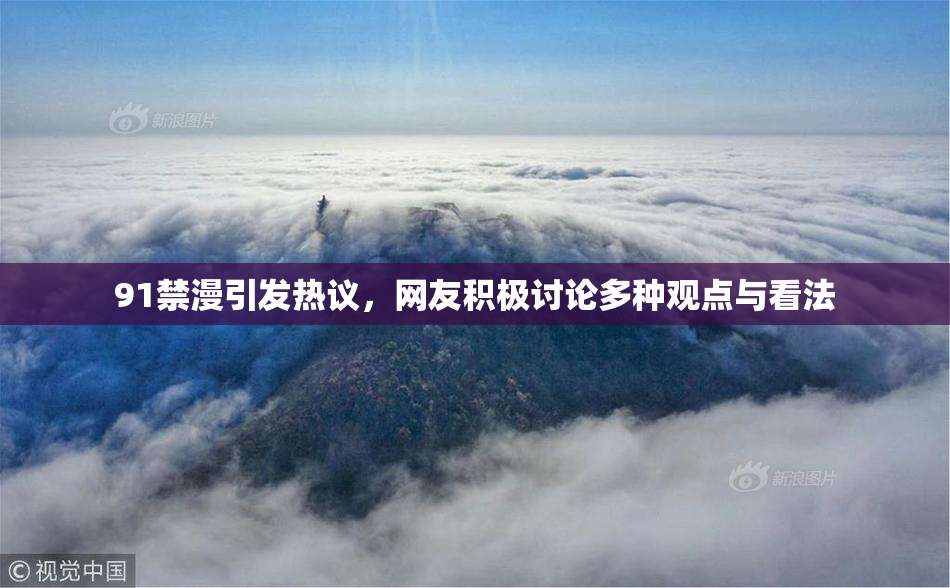 91禁漫引发热议，网友积极讨论多种观点与看法