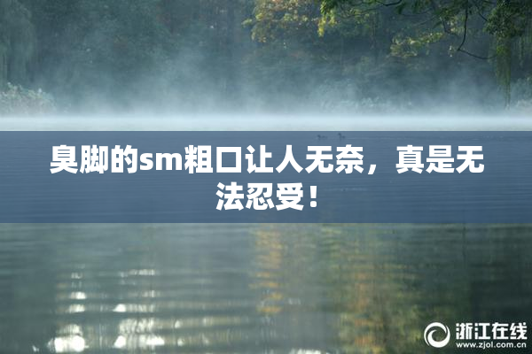 臭脚的sm粗口让人无奈，真是无法忍受！