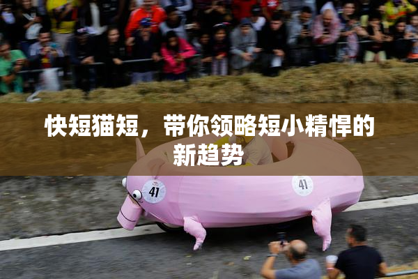 快短猫短，带你领略短小精悍的新趋势