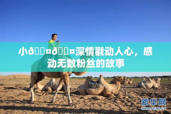 小🐤🐤深情戳动人心，感动无数粉丝的故事