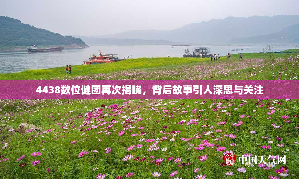 4438数位谜团再次揭晓，背后故事引人深思与关注