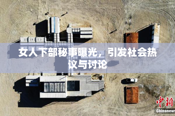 女人下部秘事曝光，引发社会热议与讨论