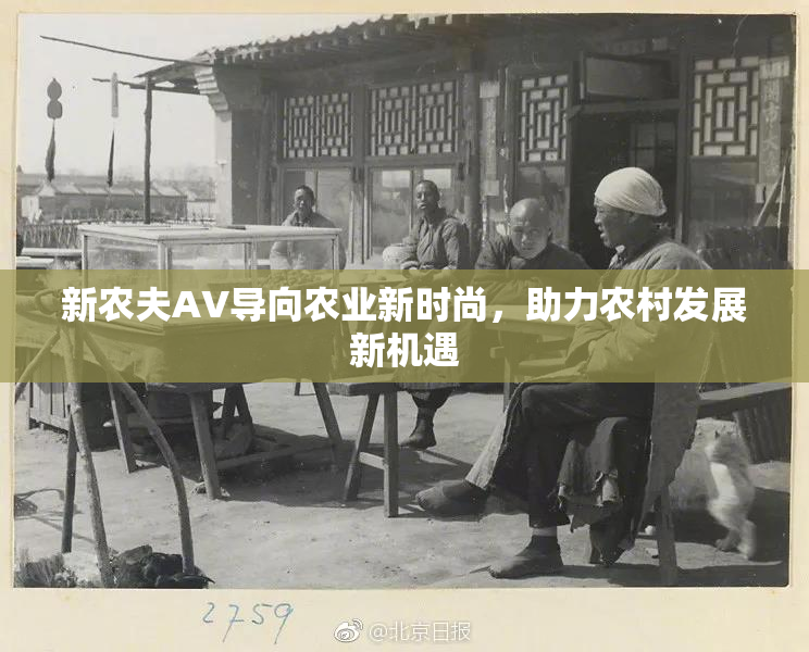 新农夫AV导向农业新时尚，助力农村发展新机遇