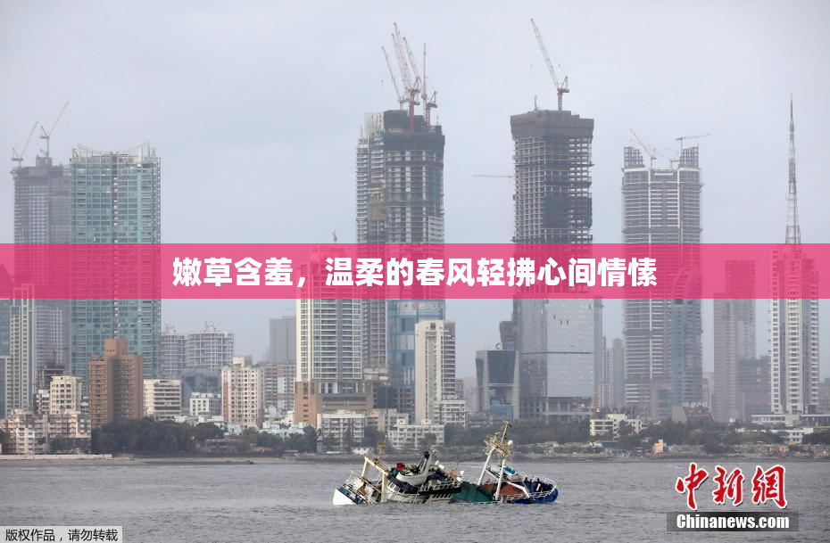 嫩草含羞，温柔的春风轻拂心间情愫