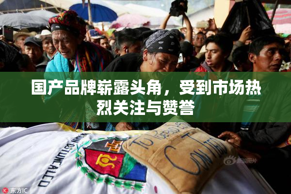 国产品牌崭露头角，受到市场热烈关注与赞誉