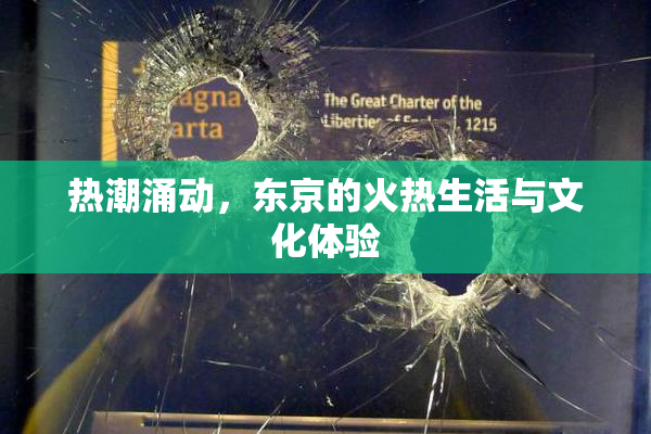 热潮涌动，东京的火热生活与文化体验