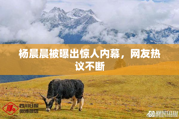 杨晨晨被曝出惊人内幕，网友热议不断