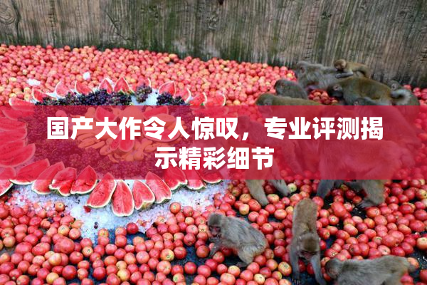 国产大作令人惊叹，专业评测揭示精彩细节