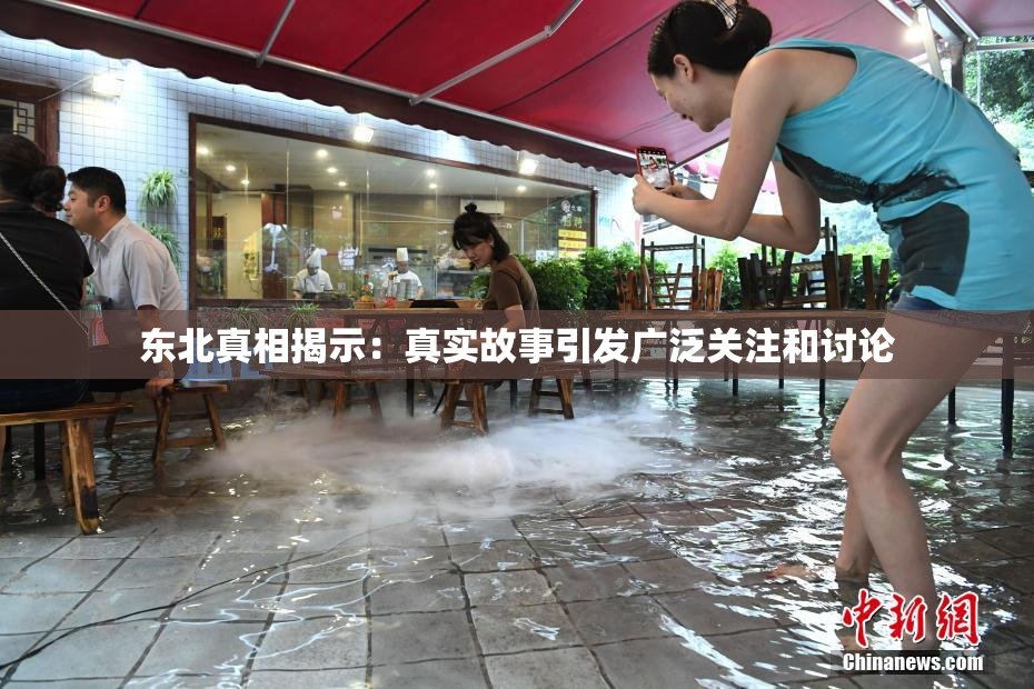 东北真相揭示：真实故事引发广泛关注和讨论