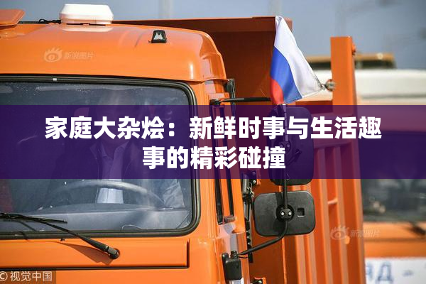家庭大杂烩：新鲜时事与生活趣事的精彩碰撞