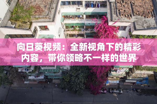 向日葵视频：全新视角下的精彩内容，带你领略不一样的世界