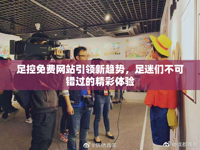 足控免费网站引领新趋势，足迷们不可错过的精彩体验