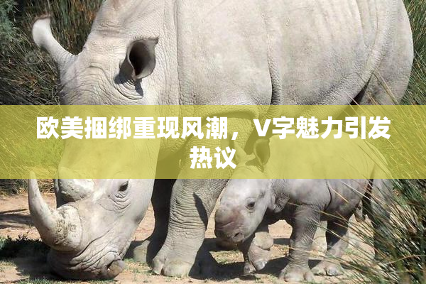欧美捆绑重现风潮，V字魅力引发热议