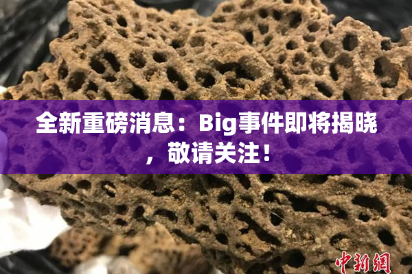 全新重磅消息：Big事件即将揭晓，敬请关注！