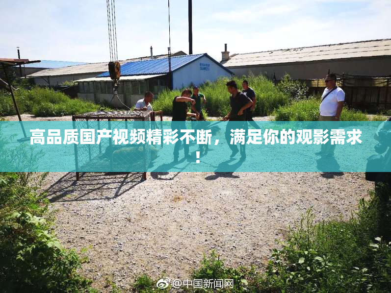 高品质国产视频精彩不断，满足你的观影需求！
