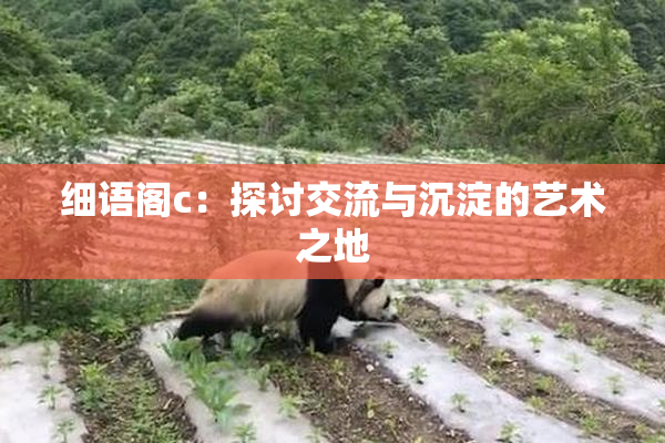细语阁c：探讨交流与沉淀的艺术之地